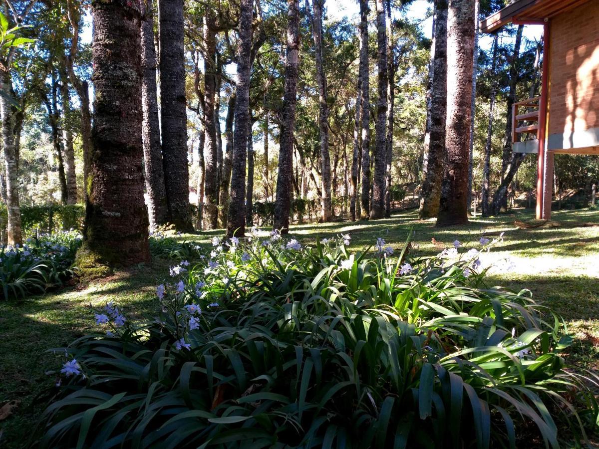 Bosque Das Araucarias Campos do Jordão エクステリア 写真