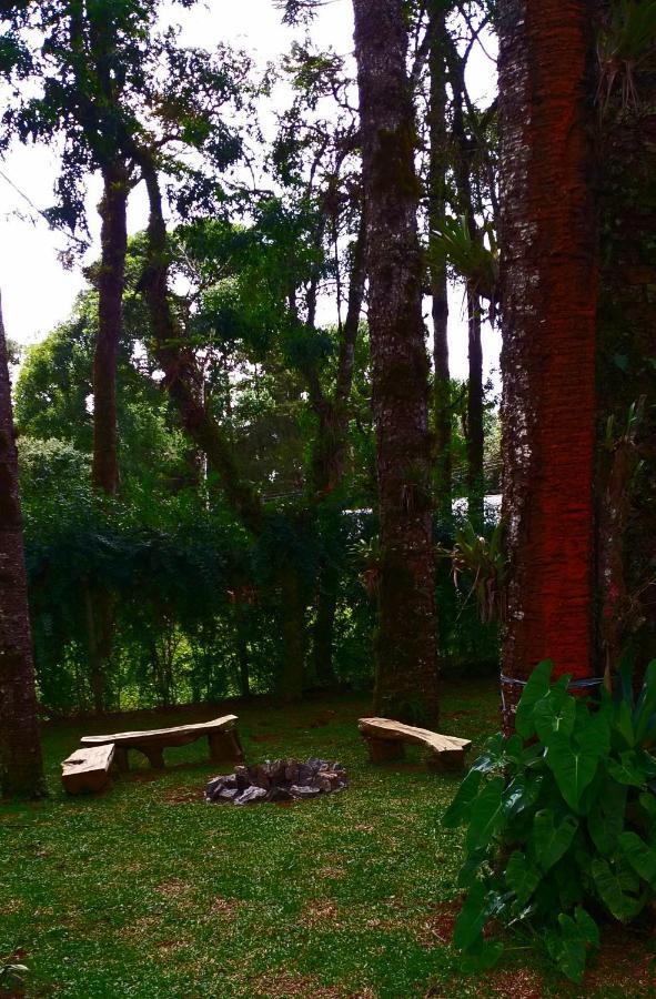 Bosque Das Araucarias Campos do Jordão エクステリア 写真