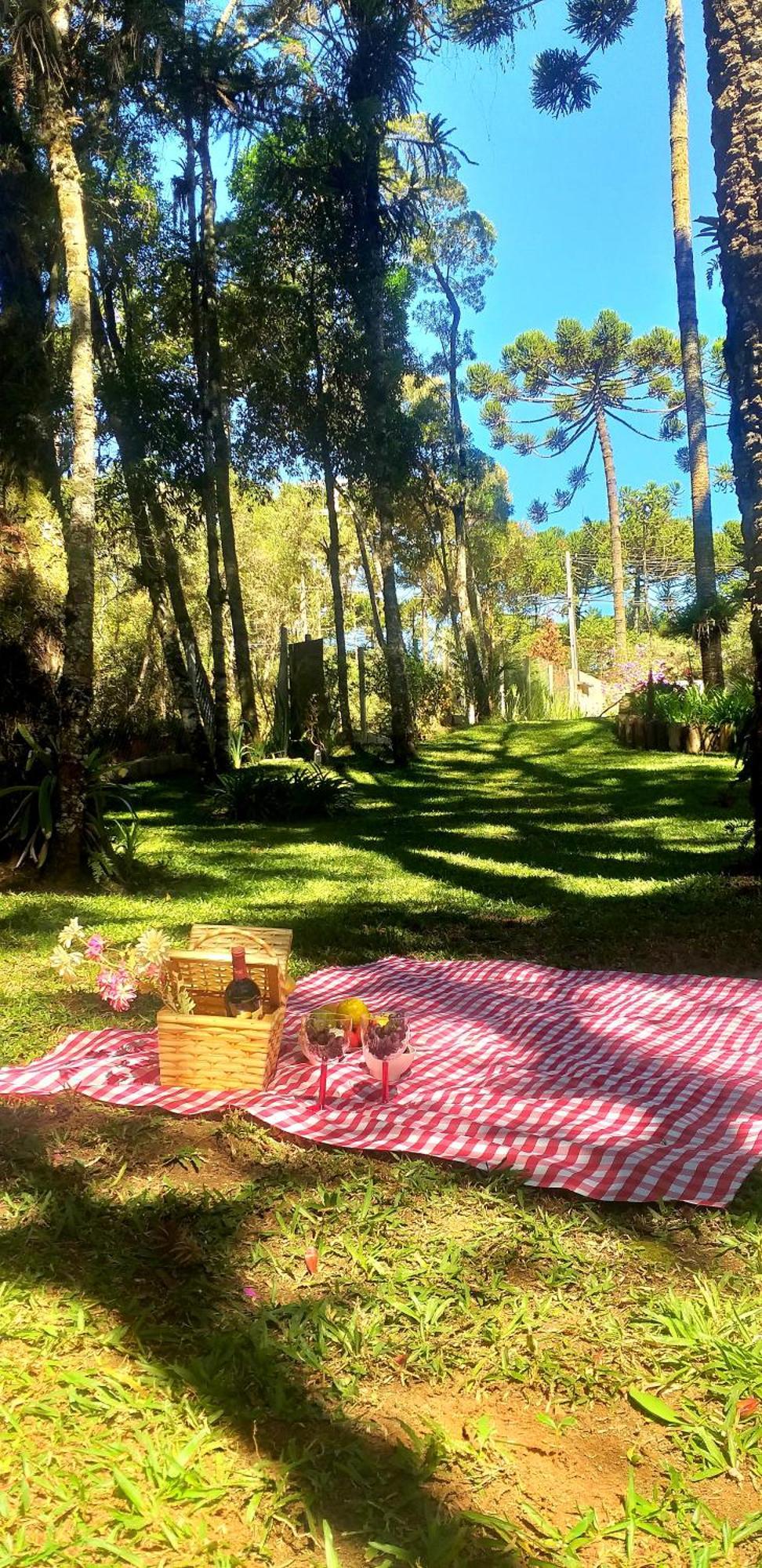 Bosque Das Araucarias Campos do Jordão 部屋 写真